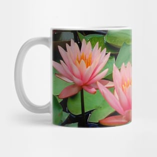 Lily Pad Harmony - Pink Water Lily Passion Mug